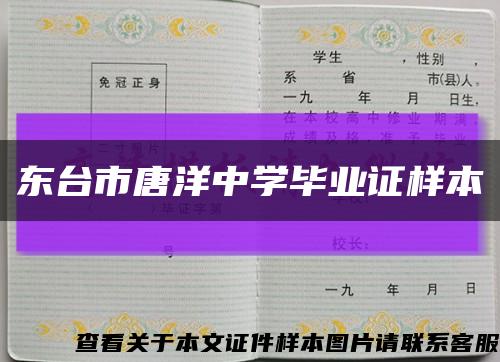 東臺市唐洋中學畢業證樣本縮略圖