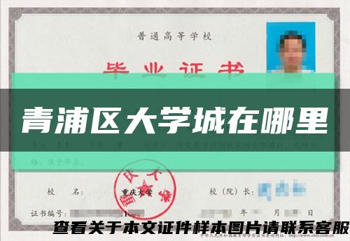 青浦區大學城在哪里縮略圖