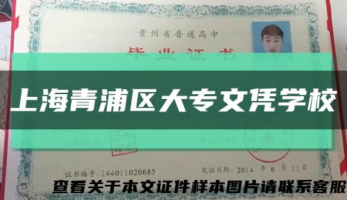 上海青浦區大專文憑學?？s略圖