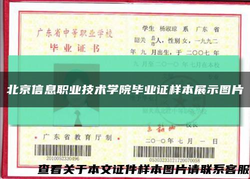 北京信息職業技術學院畢業證樣本展示圖片縮略圖