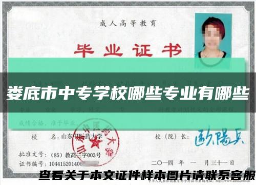 婁底市中專學校哪些專業有哪些縮略圖