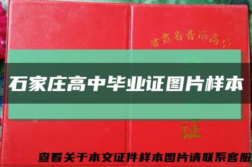石家莊高中畢業證圖片樣本縮略圖