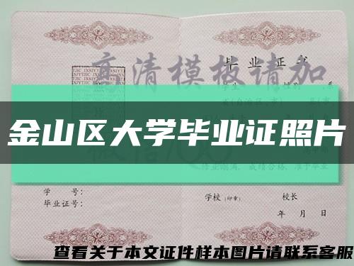 金山區大學畢業證照片縮略圖
