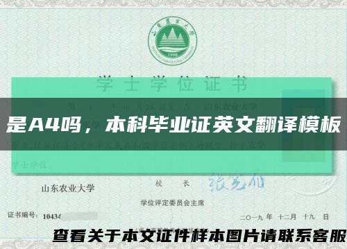 是A4嗎，本科畢業證英文翻譯模板縮略圖
