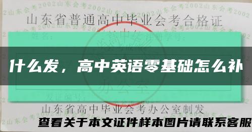什么發，高中英語零基礎怎么補縮略圖