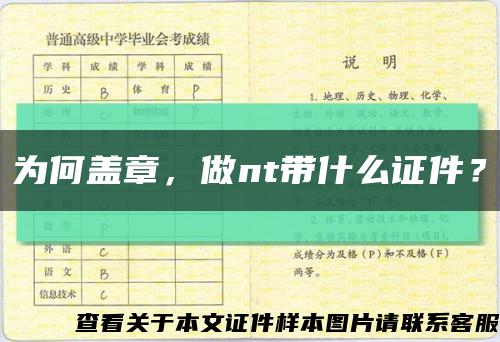 為何蓋章，做nt帶什么證件？縮略圖