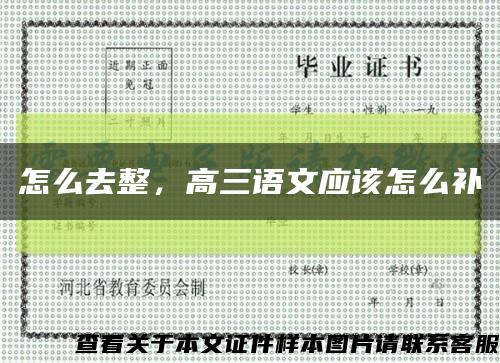 怎么去整，高三語文應該怎么補縮略圖