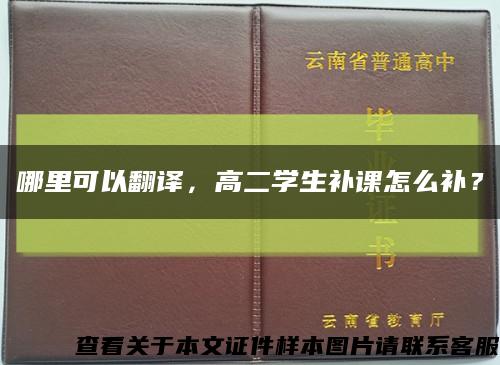 哪里可以翻譯，高二學生補課怎么補？縮略圖