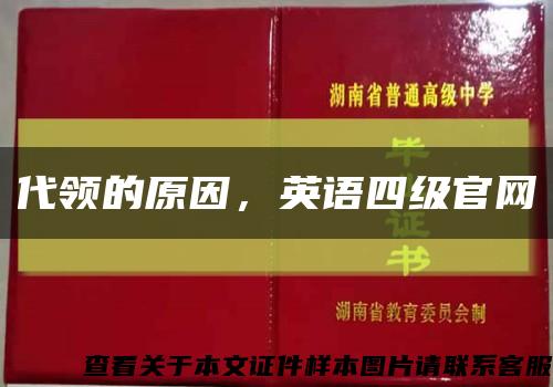 代領的原因，英語四級官網縮略圖