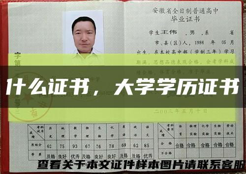 什么證書，大學學歷證書縮略圖