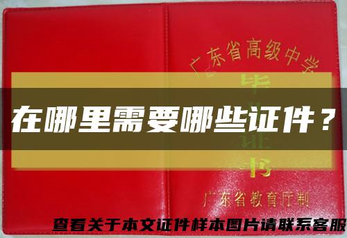 在哪里需要哪些證件？縮略圖