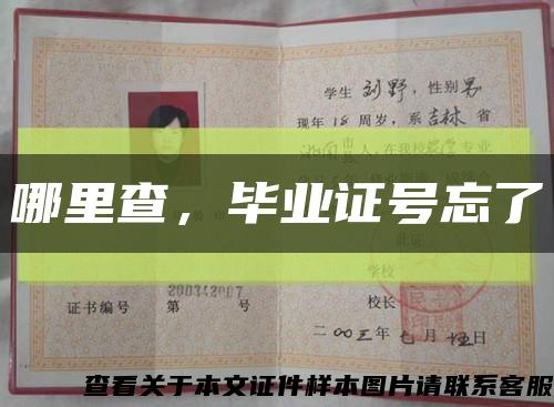 哪里查，畢業證號忘了縮略圖