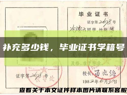 補充多少錢，畢業證書學籍號縮略圖