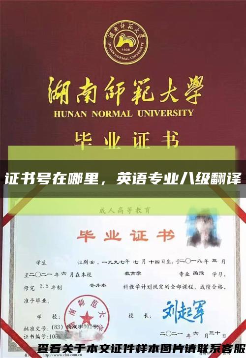 證書號在哪里，英語專業八級翻譯縮略圖