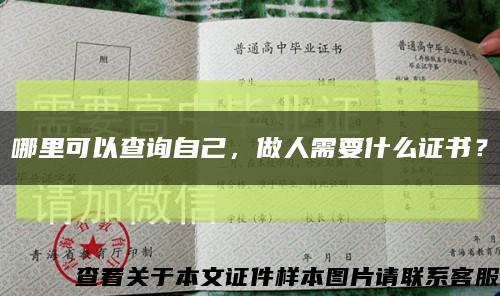哪里可以查詢自己，做人需要什么證書？縮略圖