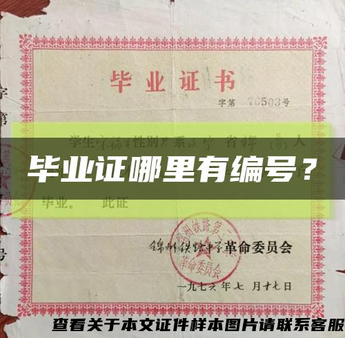 畢業證哪里有編號？縮略圖