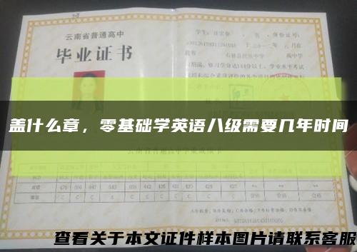 蓋什么章，零基礎學英語八級需要幾年時間縮略圖
