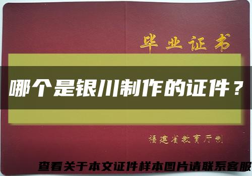 哪個是銀川制作的證件？縮略圖