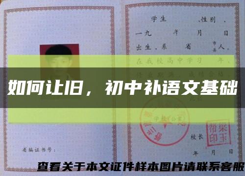 如何讓舊，初中補語文基礎縮略圖