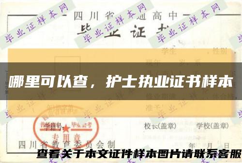 哪里可以查，護士執業證書樣本縮略圖