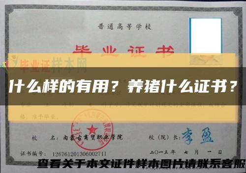 什么樣的有用？養豬什么證書？縮略圖