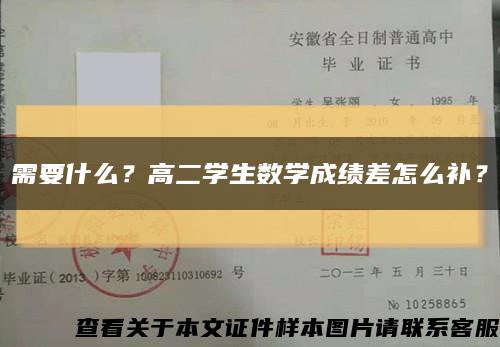 需要什么？高二學生數學成績差怎么補？縮略圖