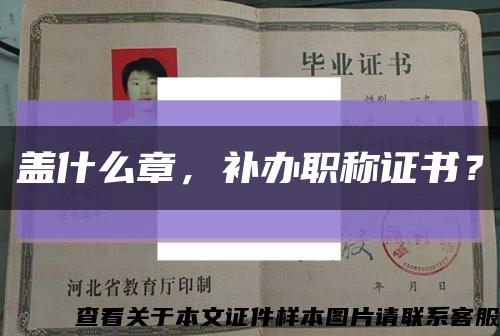 蓋什么章，補辦職稱證書？縮略圖