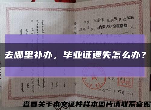 去哪里補辦，畢業證遺失怎么辦？縮略圖