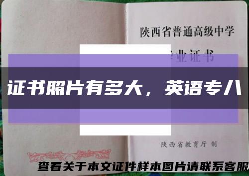 證書照片有多大，英語專八縮略圖