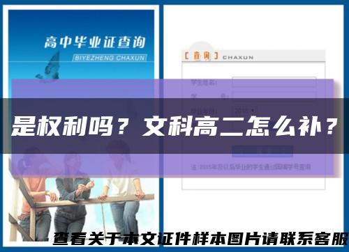 是權利嗎？文科高二怎么補？縮略圖
