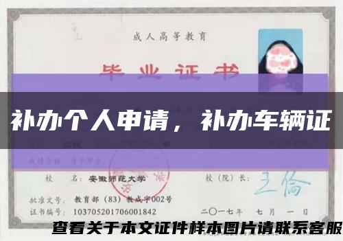 補辦個人申請，補辦車輛證縮略圖