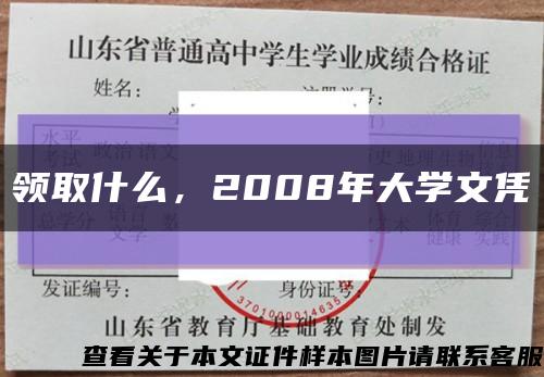 領取什么，2008年大學文憑縮略圖
