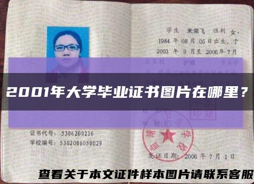 2001年大學畢業證書圖片在哪里？縮略圖