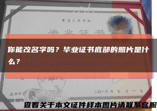 你能改名字嗎？畢業證書底部的照片是什么？縮略圖