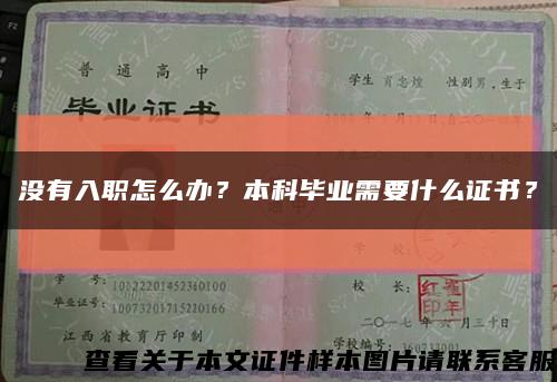 沒有入職怎么辦？本科畢業需要什么證書？縮略圖
