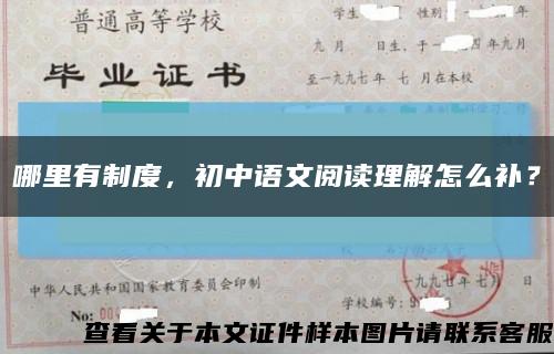 哪里有制度，初中語文閱讀理解怎么補？縮略圖