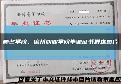 哪些學院，濱州職業學院畢業證書樣本圖片縮略圖