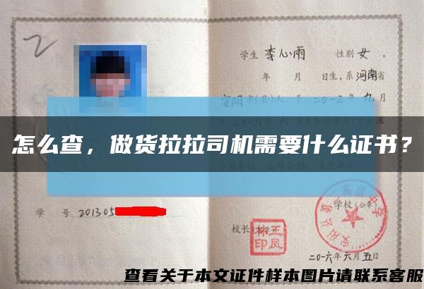 怎么查，做貨拉拉司機需要什么證書？縮略圖