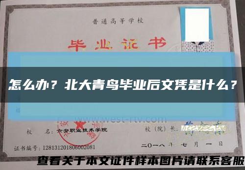 怎么辦？北大青鳥畢業后文憑是什么？縮略圖