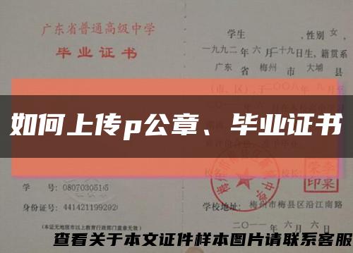 如何上傳p公章、畢業證書縮略圖