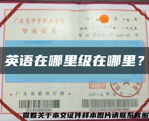 英語在哪里級在哪里？縮略圖