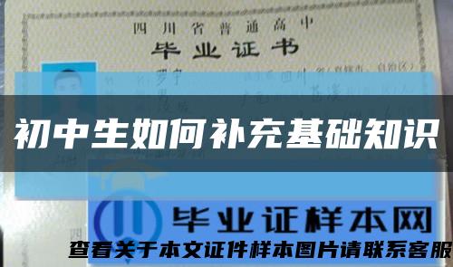 初中生如何補充基礎知識縮略圖