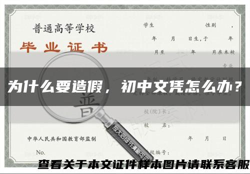 為什么要造假，初中文憑怎么辦？縮略圖