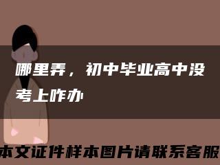 哪里弄，初中畢業高中沒考上咋辦縮略圖