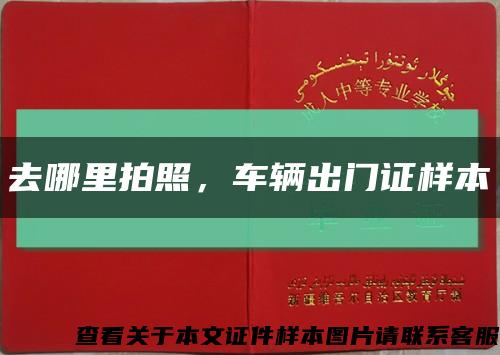 去哪里拍照，車輛出門證樣本縮略圖