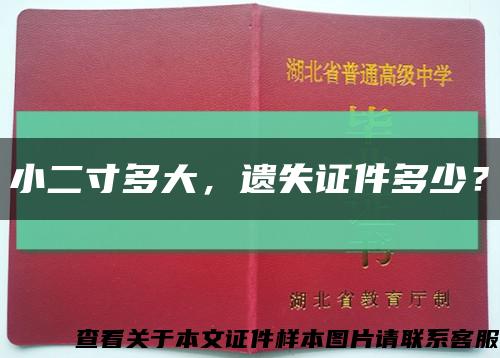小二寸多大，遺失證件多少？縮略圖