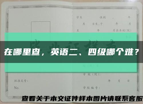 在哪里查，英語二、四級哪個難？縮略圖
