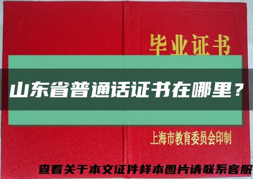 山東省普通話證書在哪里？縮略圖