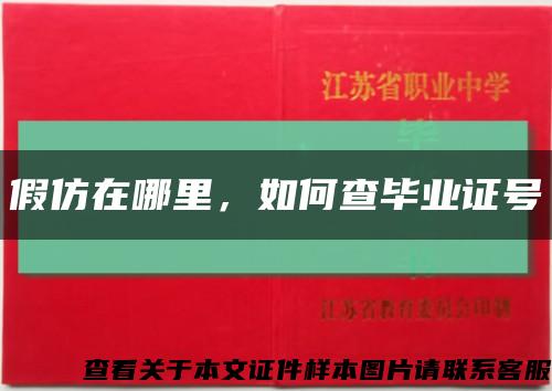 假仿在哪里，如何查畢業證號縮略圖