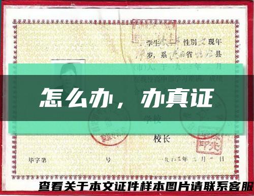 怎么辦，辦真證縮略圖